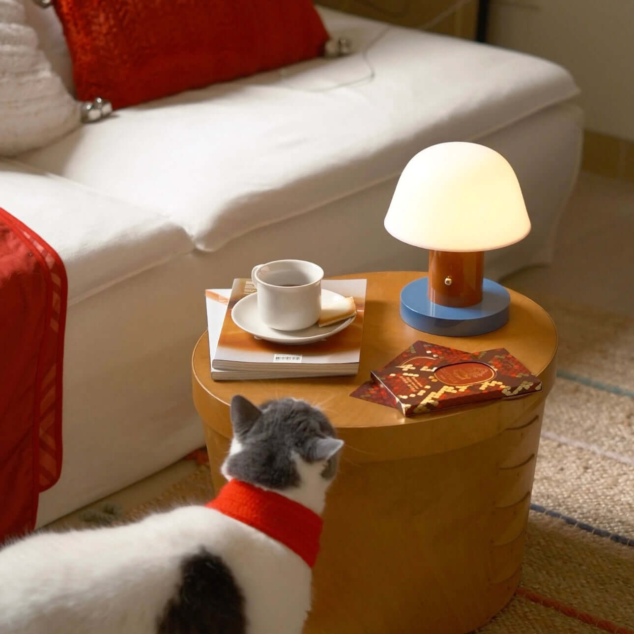 Lampe Champignon Sans Fil – Contrôle Tactile, 3 Modes de Couleur, Rechargeable