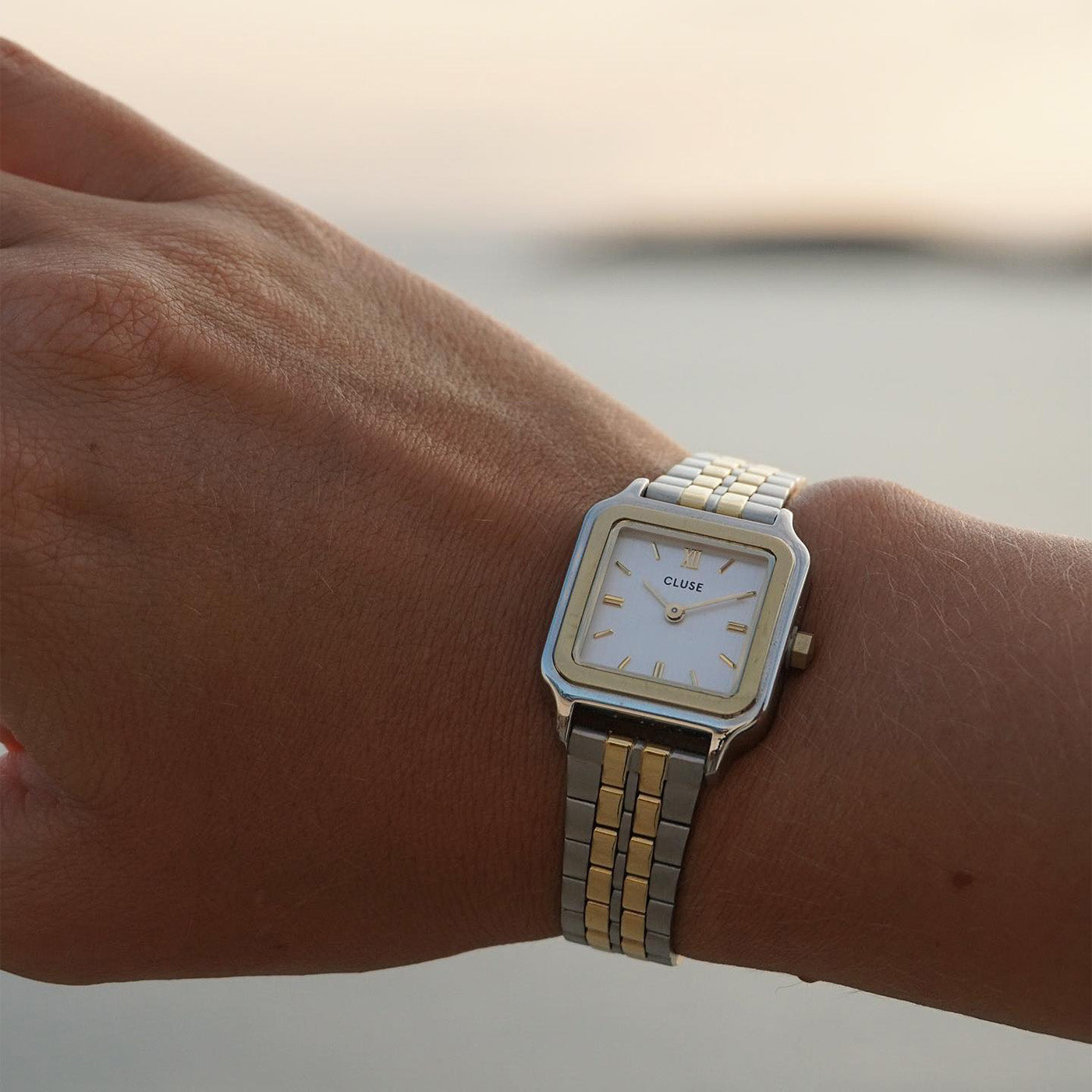 Gracieuse Petite Montre en Acier, Bicolore